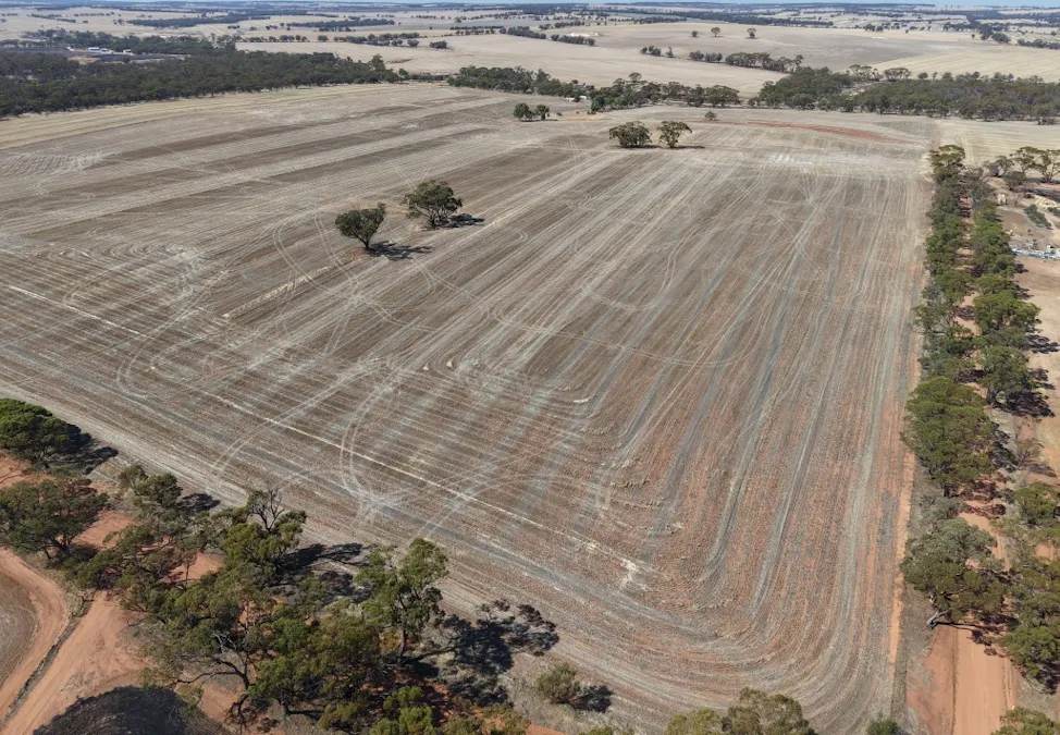 75/Rickeys Road, East Beverley, WA, 6304 - Image 5