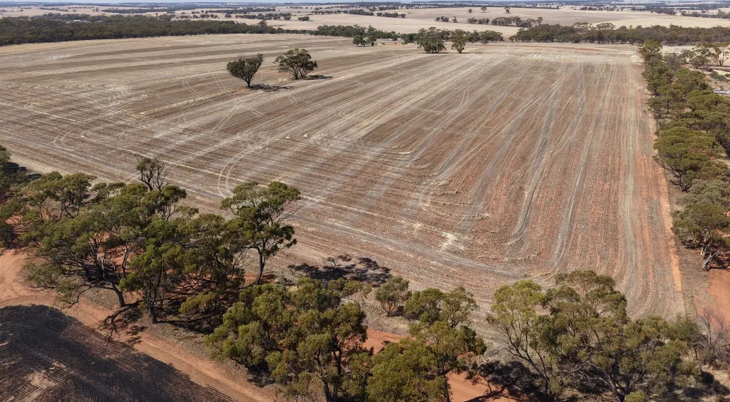 75/Rickeys Road, East Beverley, WA, 6304 - Image 7