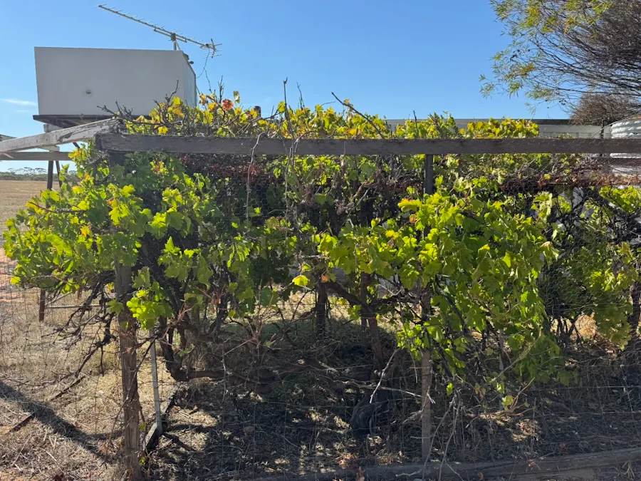 75/Rickeys Road, East Beverley, WA, 6304 - Image 20