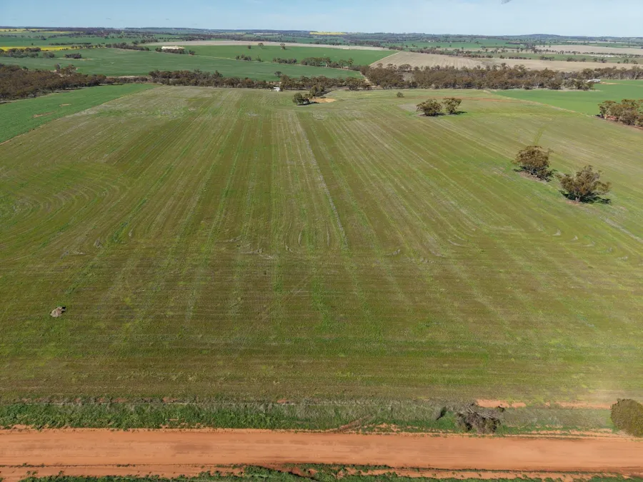 Level 75/Lot 75 Rickeys Road, Beverley, WA, 6304 - Image 9