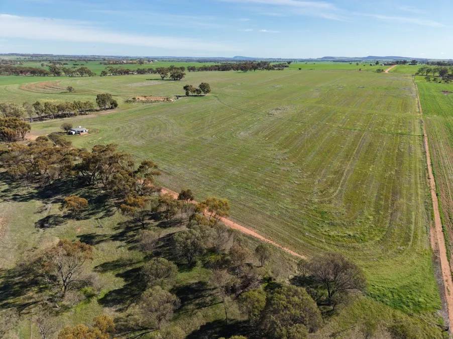 Level 75/Lot 75 Rickeys Road, Beverley, WA, 6304 - Image 7