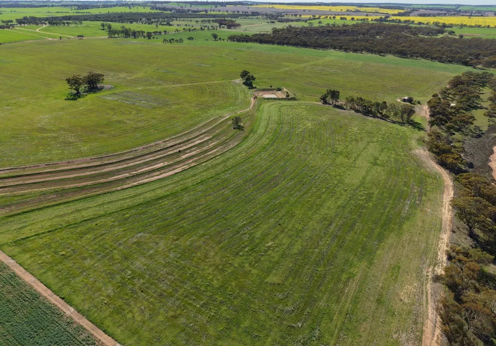 Level 75/Lot 75 Rickeys Road, Beverley, WA, 6304 - Image 6