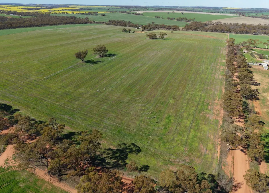Level 75/Lot 75 Rickeys Road, Beverley, WA, 6304 - Image 8