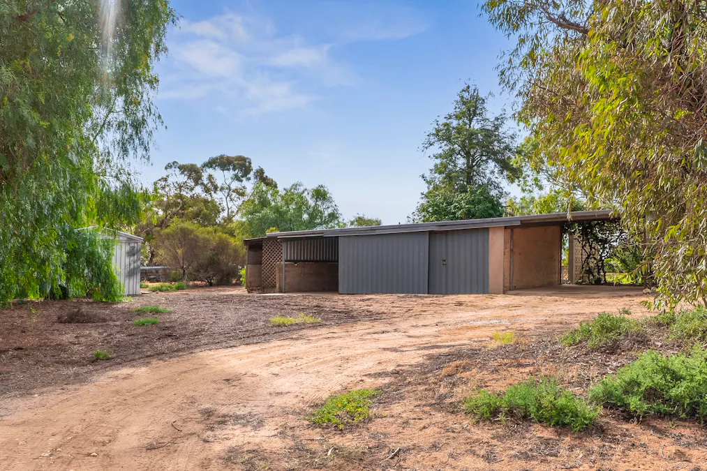 20 Dunstan Road, Waikerie, SA, 5330 - Image 11