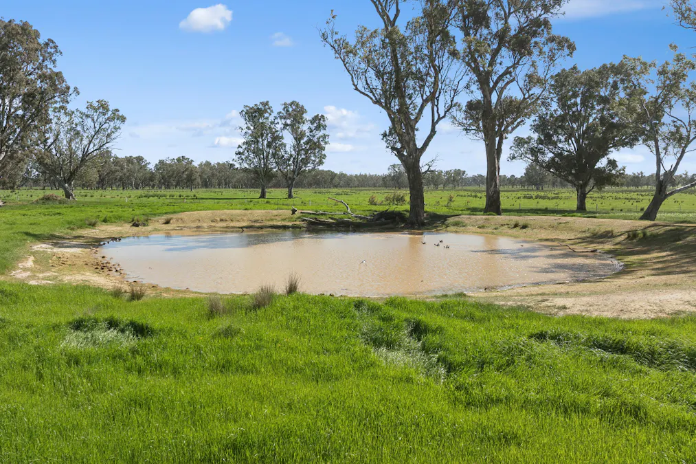 501 Knight Road, Benalla, VIC, 3672 - Image 19