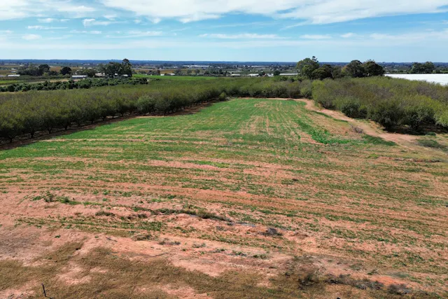 Old Cooltong Avenue — photo from Elders Real Estate Waikerie