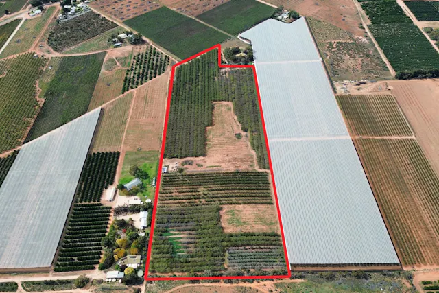 Old Cooltong Avenue — photo from Elders Real Estate Waikerie