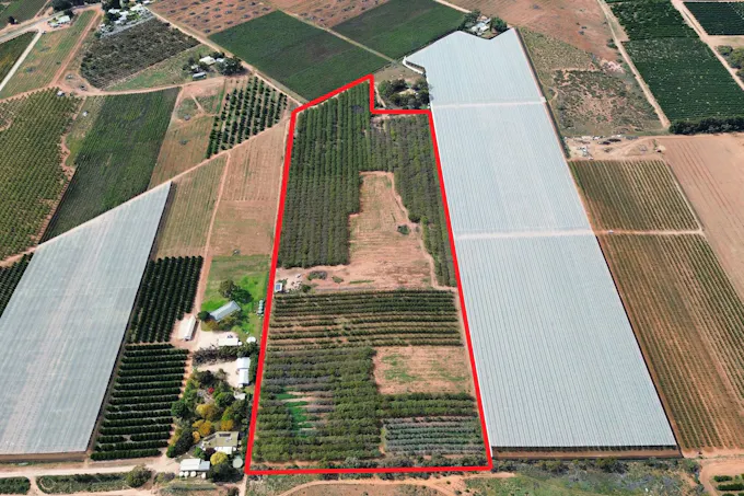 55/Old Cooltong Avenue, Renmark, SA, 5341 - Image 1
