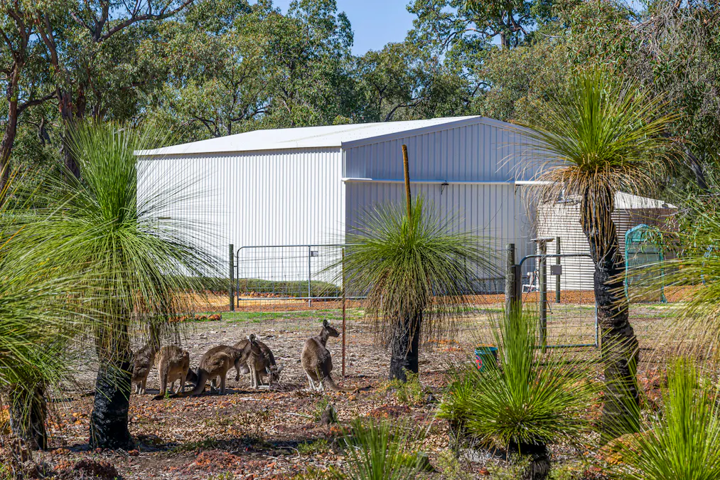 82 York Gum Drive, Chittering, WA, 6084 - Image 5