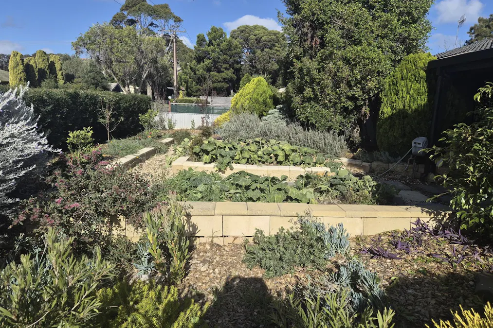 25 David Street, Mccracken, SA, 5211 - Image 11