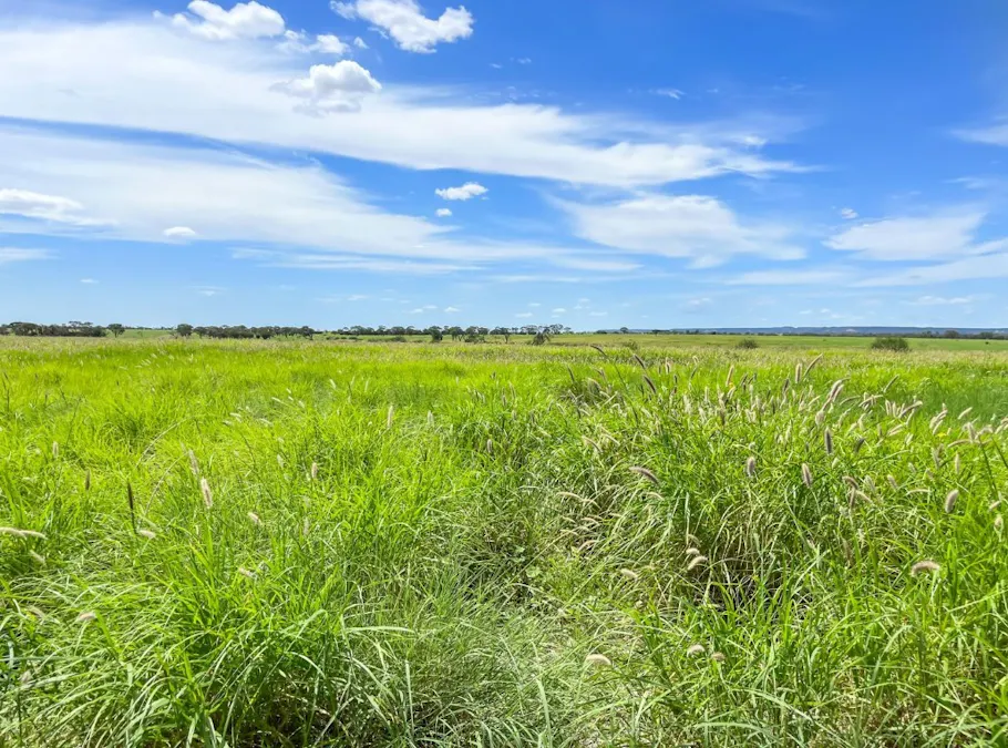 4722 Emmet Yaraka Road, Isisford, QLD, 4731 - Image 2