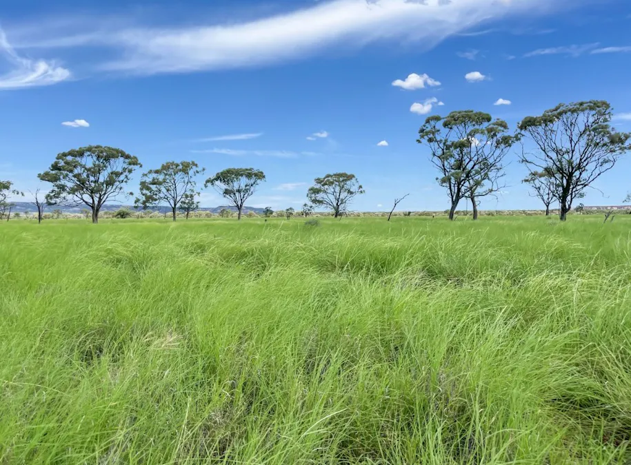 4722 Emmet Yaraka Road, Isisford, QLD, 4731 - Image 5