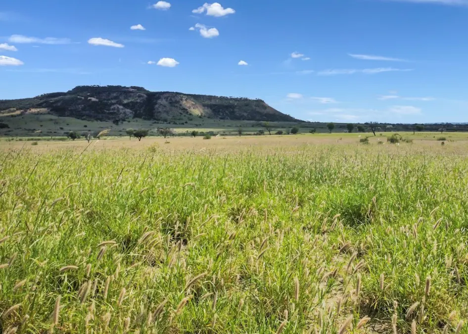 4722 Emmet Yaraka Road, Isisford, QLD, 4731 - Image 3