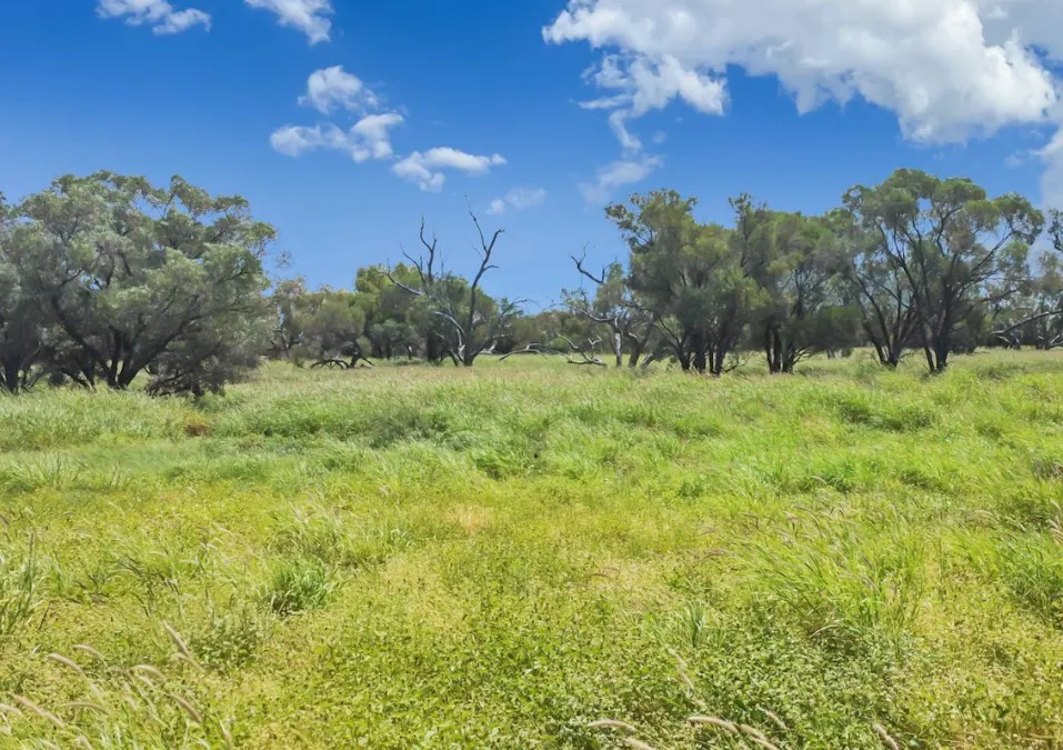 4722 Emmet Yaraka Road, Isisford, QLD, 4731 - Image 6