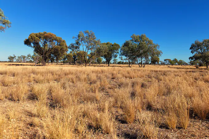 Warrambah - Bundaleer South Plains Road, Cunnamulla, QLD, 4490 - Image 1