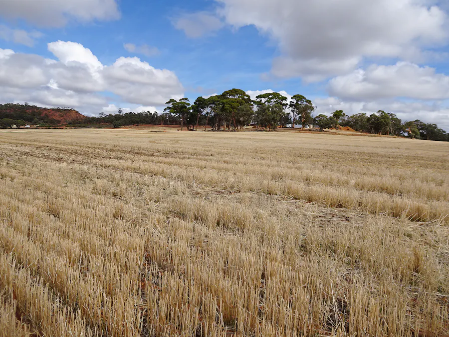 10840 Brookton Highway, Brookton, WA, 6306 - Image 27