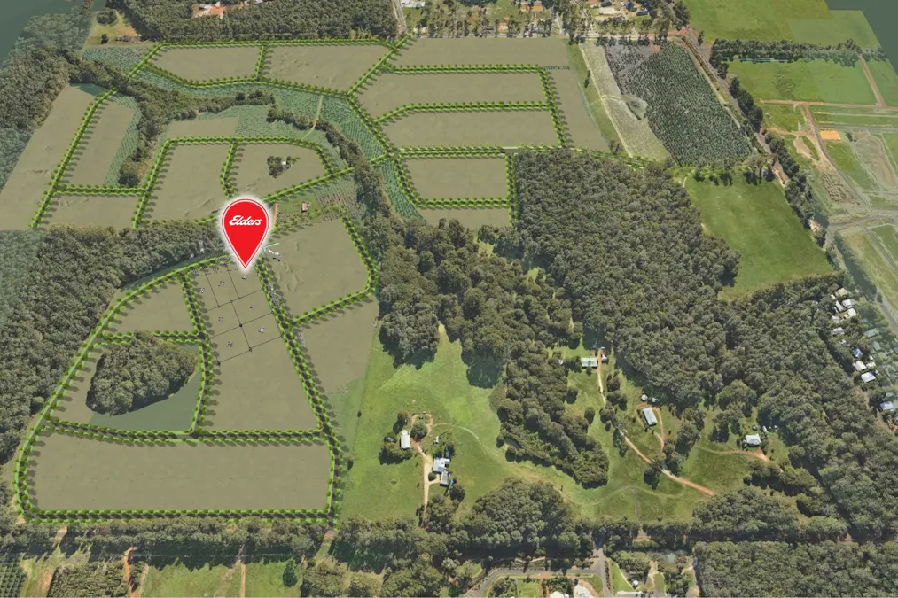 42/Carnaby Crescent, Witchcliffe, WA, 6286 - Image 3