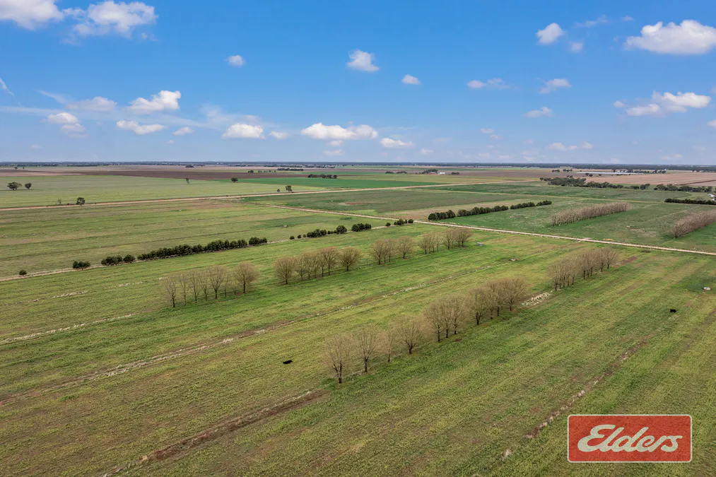 584  Strathallan Road, Echuca, VIC, 3564 - Image 29
