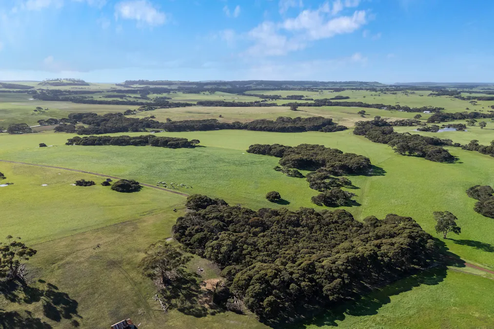 1223 Springs Road, Menzies, SA, 5223 - Image 33