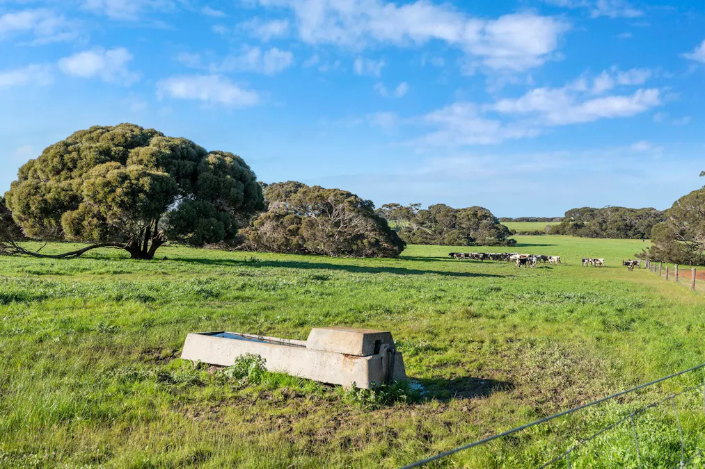 1223 Springs Road, Menzies, SA, 5223 - Image 20