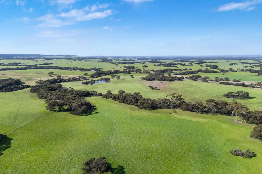 1223 Springs Road, Menzies, SA, 5223 - Image 34