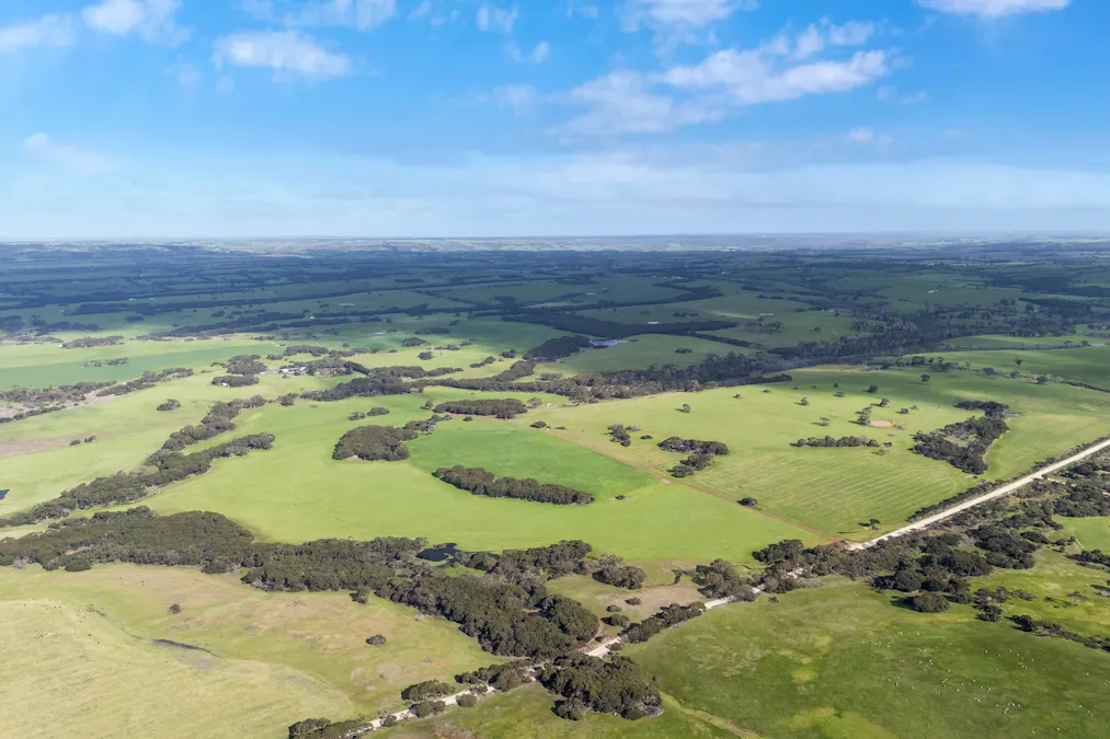 1223 Springs Road, Menzies, SA, 5223 - Image 5