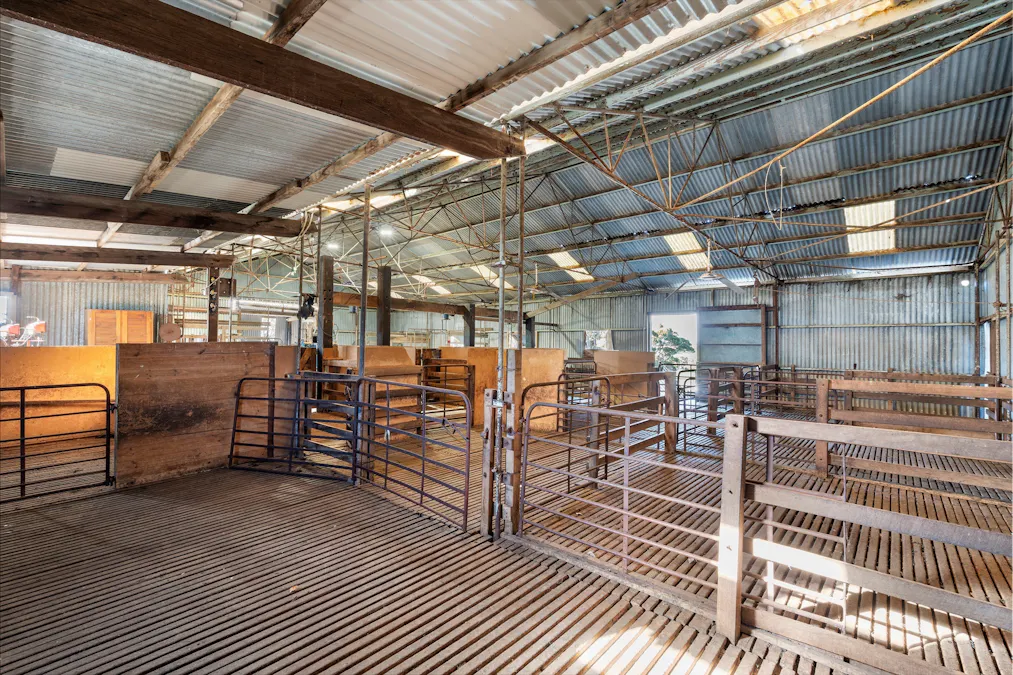 1223 Springs Road, Menzies, SA, 5223 - Image 14