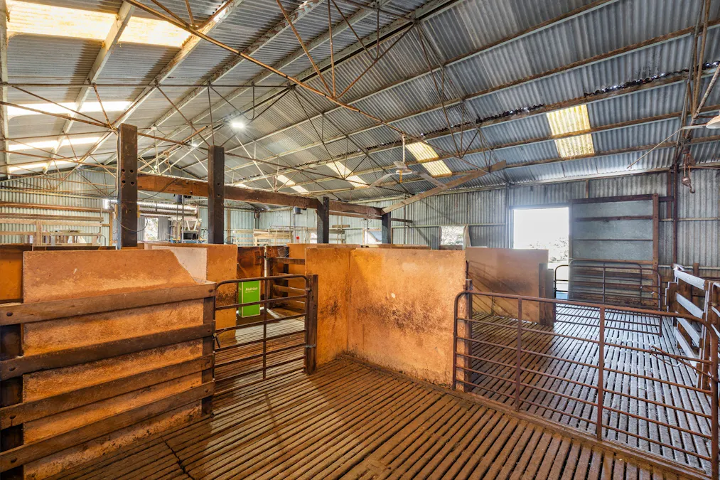 1223 Springs Road, Menzies, SA, 5223 - Image 13