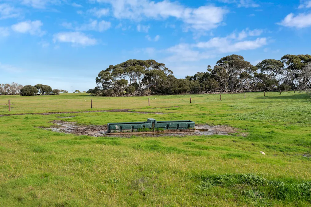1223 Springs Road, Menzies, SA, 5223 - Image 21