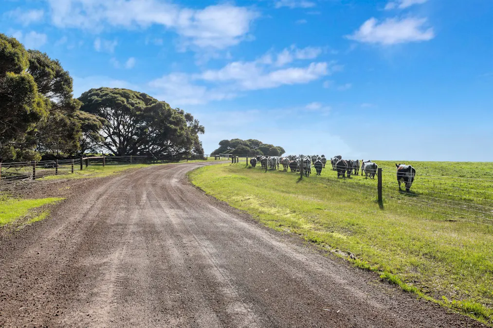 1223 Springs Road, Menzies, SA, 5223 - Image 22