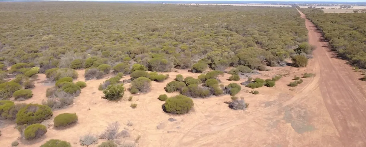 3515 Calzoni Road, Holleton, WA, 6426 - Image 6