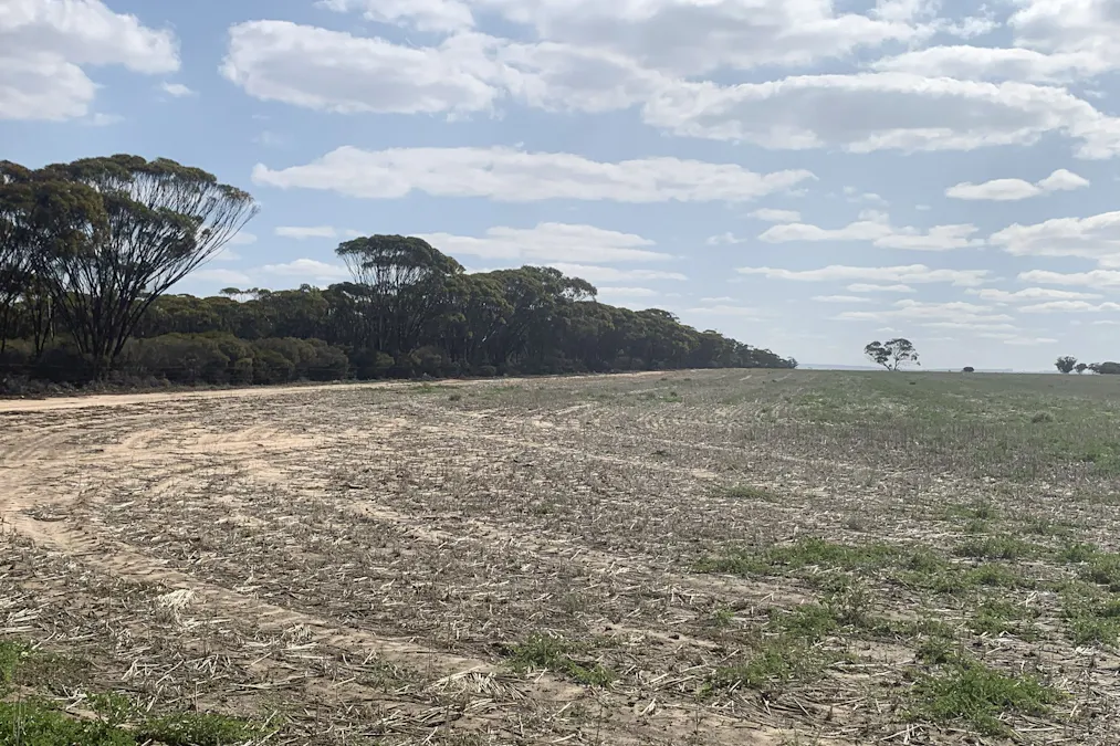 3515 Calzoni Road, Holleton, WA, 6426 - Image 11