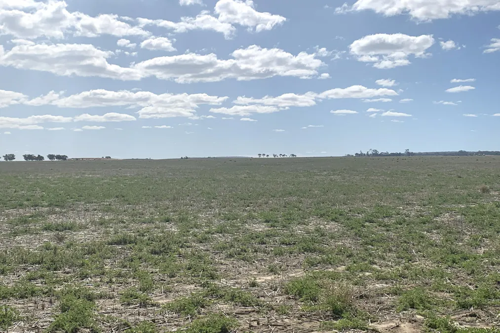 3515 Calzoni Road, Holleton, WA, 6426 - Image 12