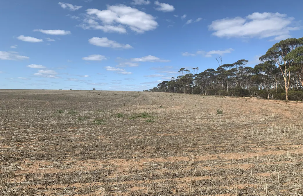 3515 Calzoni Road, Holleton, WA, 6426 - Image 13