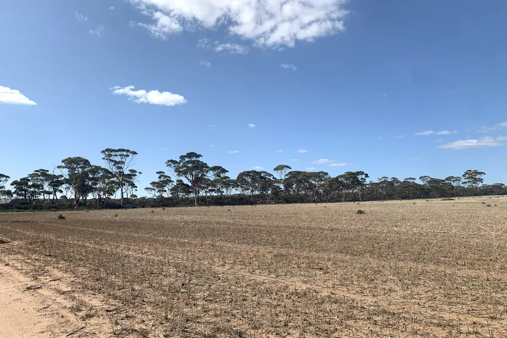 3515 Calzoni Road, Holleton, WA, 6426 - Image 16