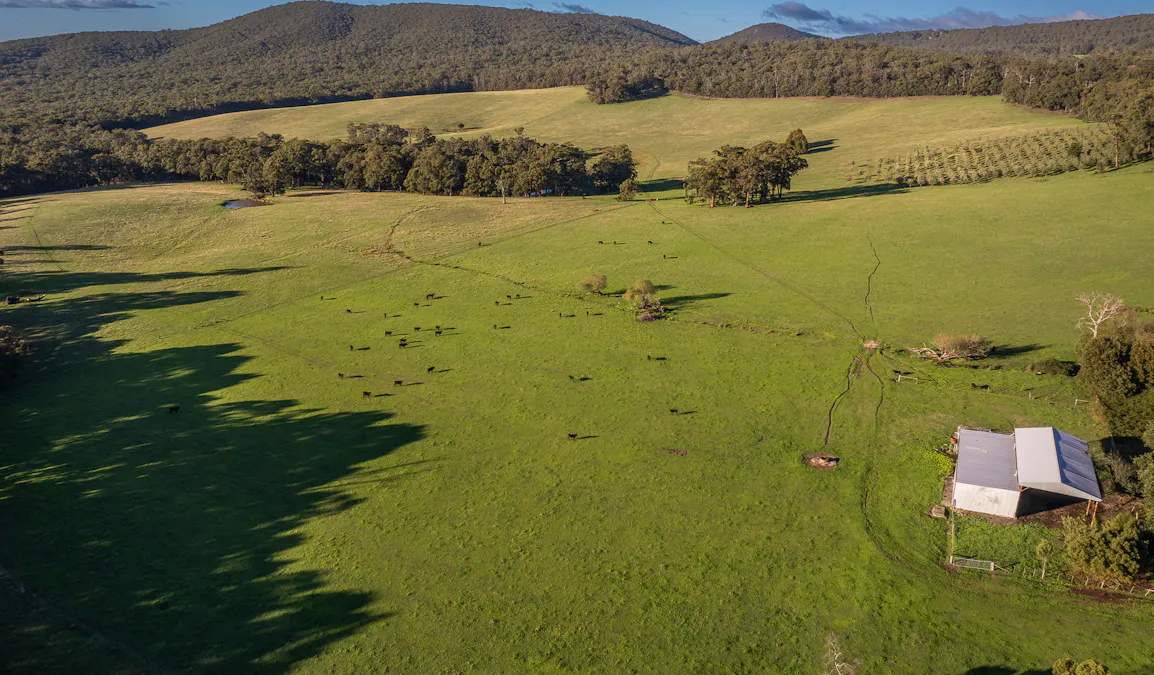 709 Mount Eliza Road, Kerrie, VIC, 3434 - Image 32