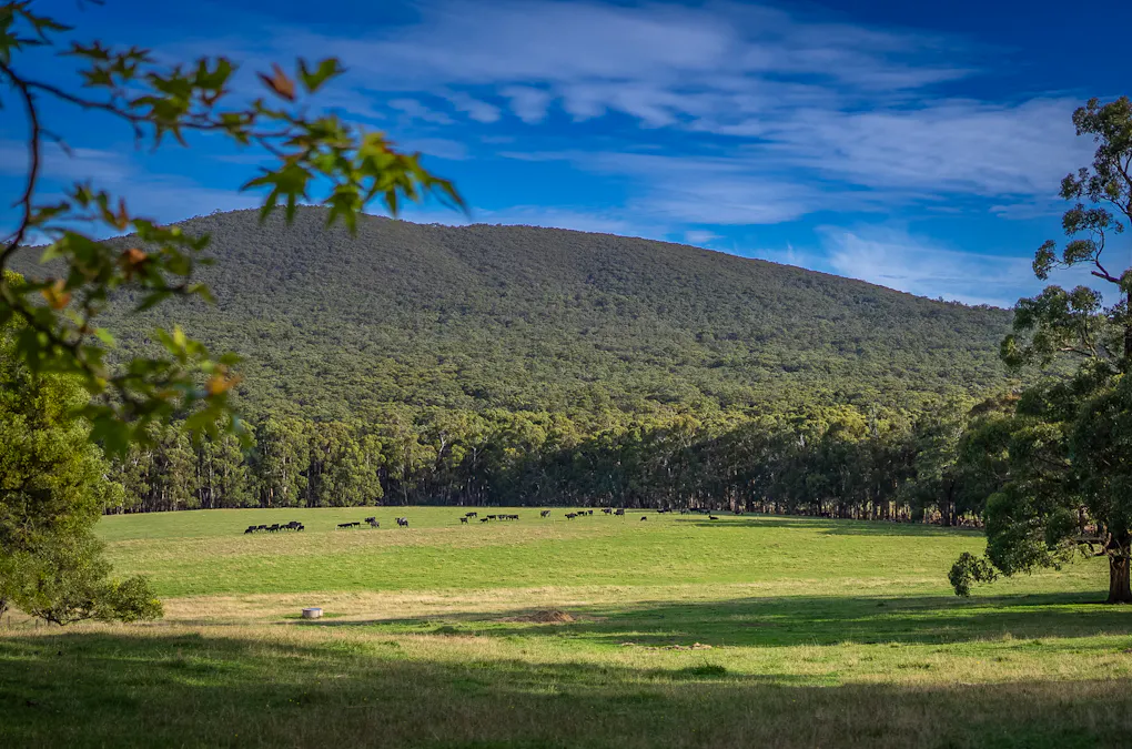 709 Mount Eliza Road, Kerrie, VIC, 3434 - Image 33