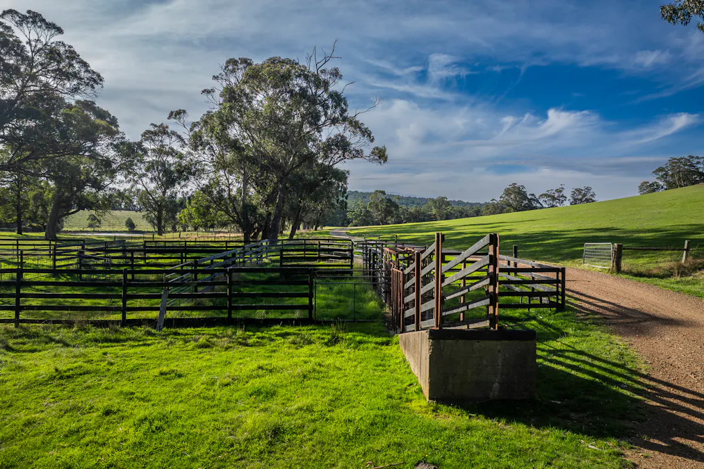 709 Mount Eliza Road, Kerrie, VIC, 3434 - Image 28