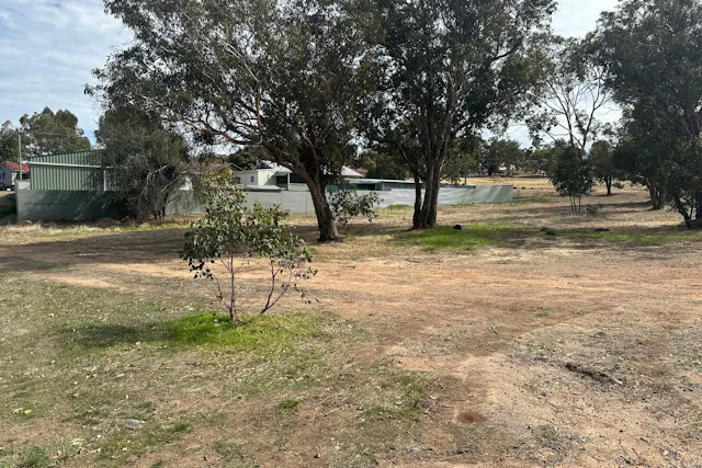 6 Macbride Street — photo from Elders Real Estate - Katanning Specialists