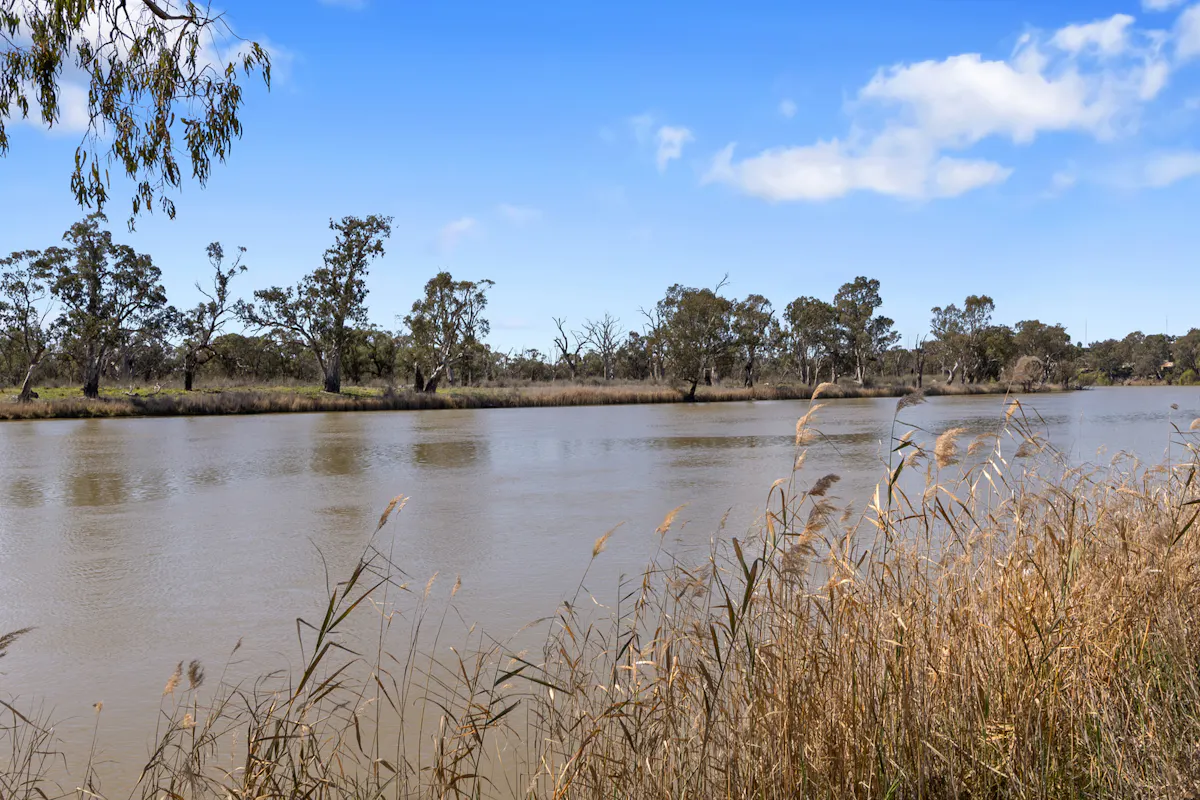 Meet Me at The River — photo 26 of 30