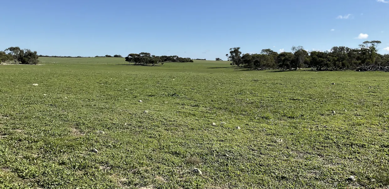 Netherton, SA, 5301 - Image 10