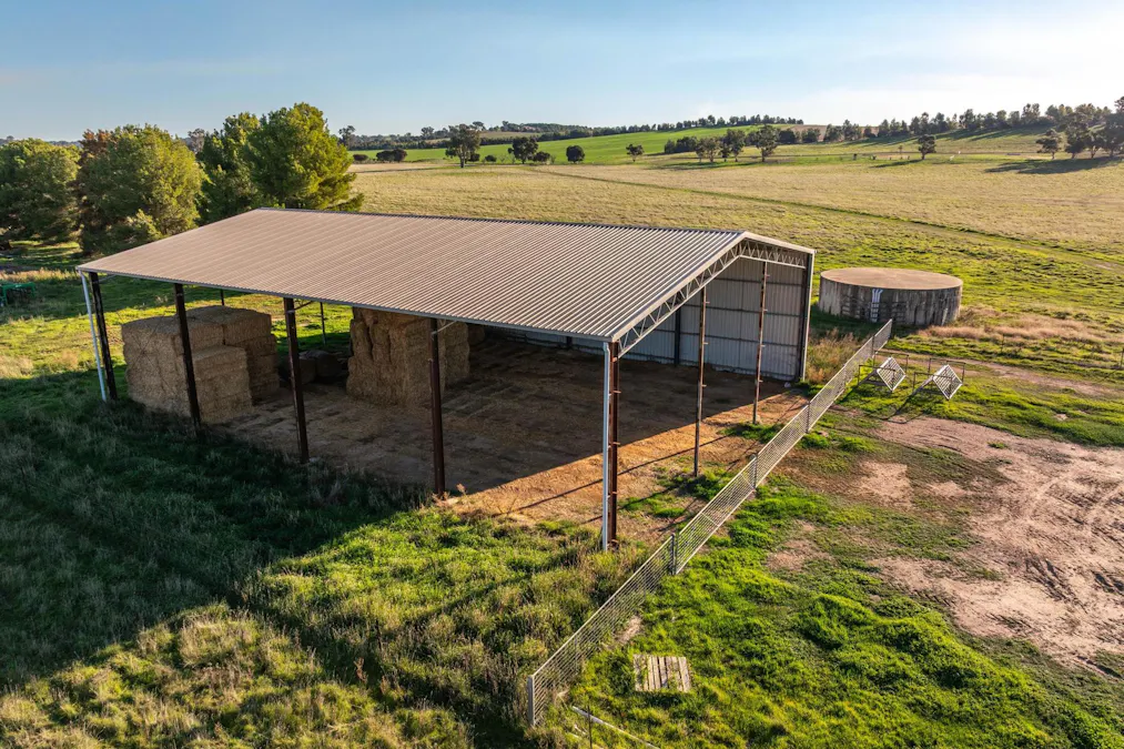 261 Paper Forest Road, Mangoplah, NSW, 2652 - Image 7