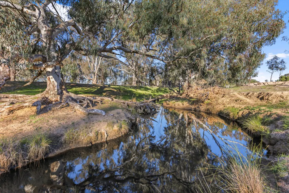 261 Paper Forest Road, Mangoplah, NSW, 2652 - Image 8