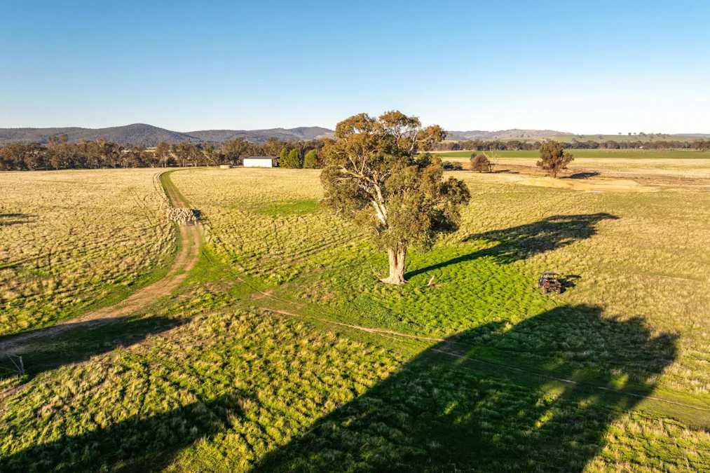 261 Paper Forest Road, Mangoplah, NSW, 2652 - Image 9