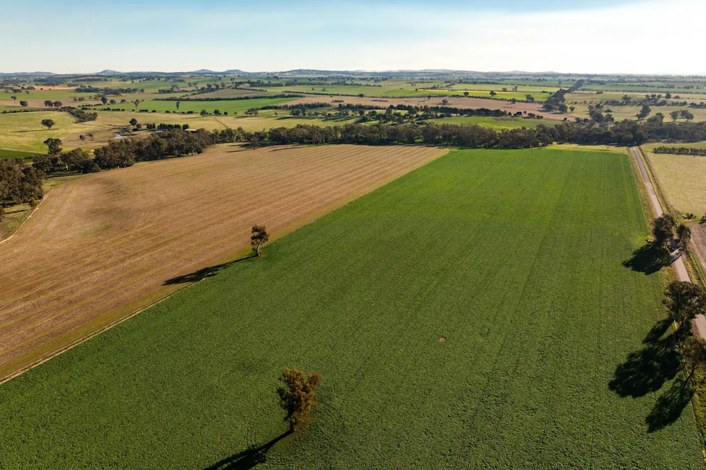 261 Paper Forest Road, Mangoplah, NSW, 2652 - Image 1