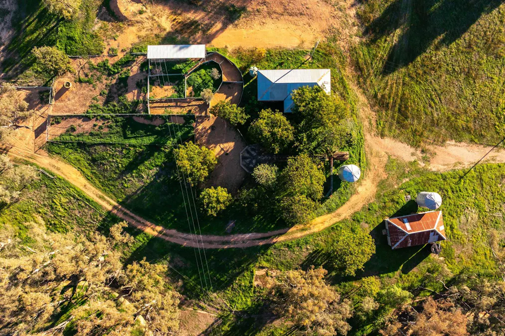 261 Paper Forest Road, Mangoplah, NSW, 2652 - Image 6