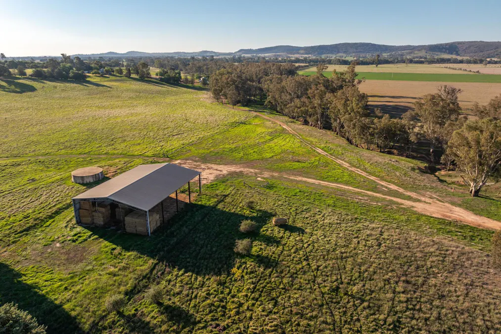261 Paper Forest Road, Mangoplah, NSW, 2652 - Image 10