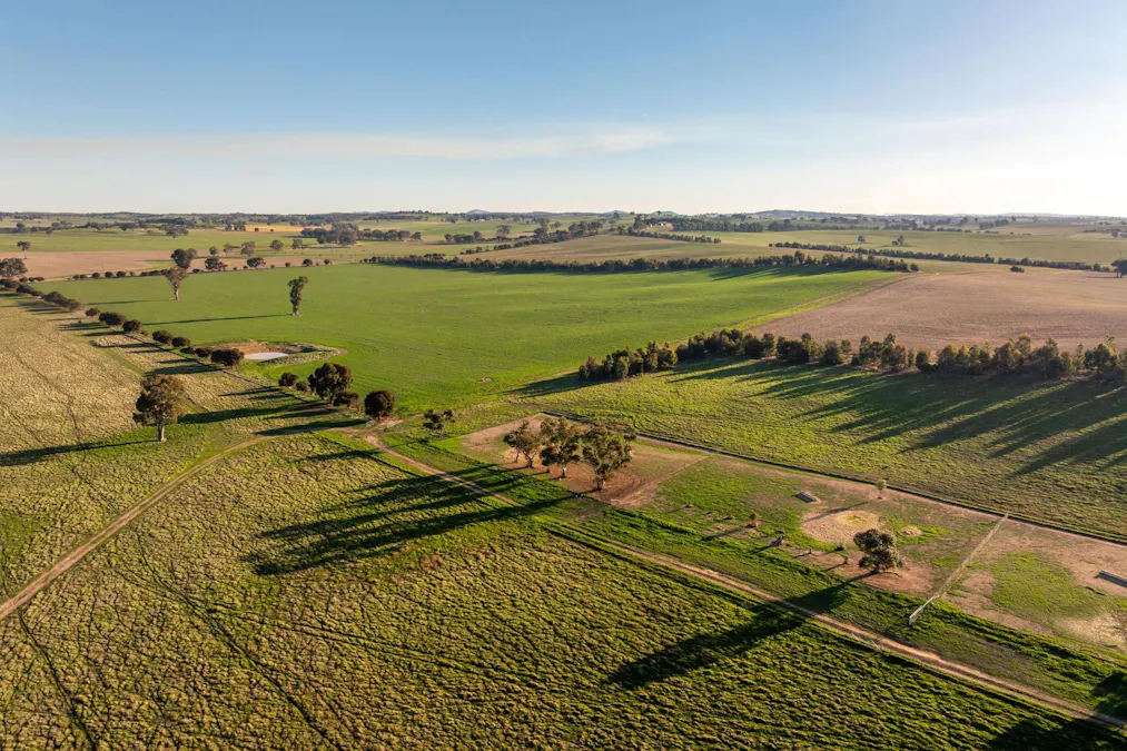 261 Paper Forest Road, Mangoplah, NSW, 2652 - Image 12