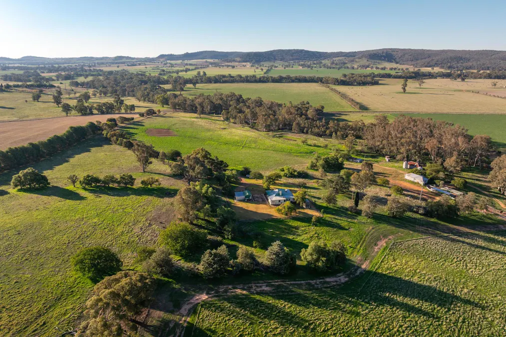 261 Paper Forest Road, Mangoplah, NSW, 2652 - Image 13