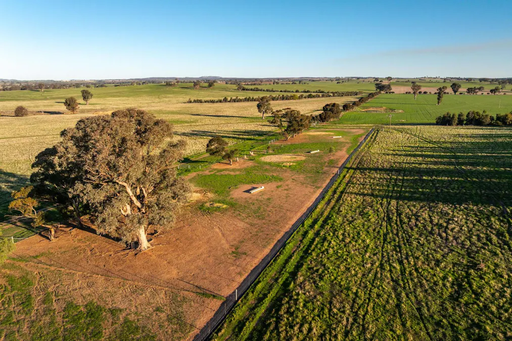 261 Paper Forest Road, Mangoplah, NSW, 2652 - Image 14